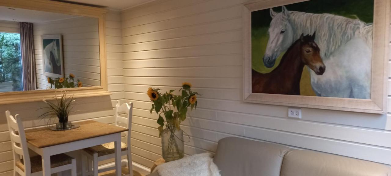 Chalet Le Papillon Zandvoort Zewnętrze zdjęcie
